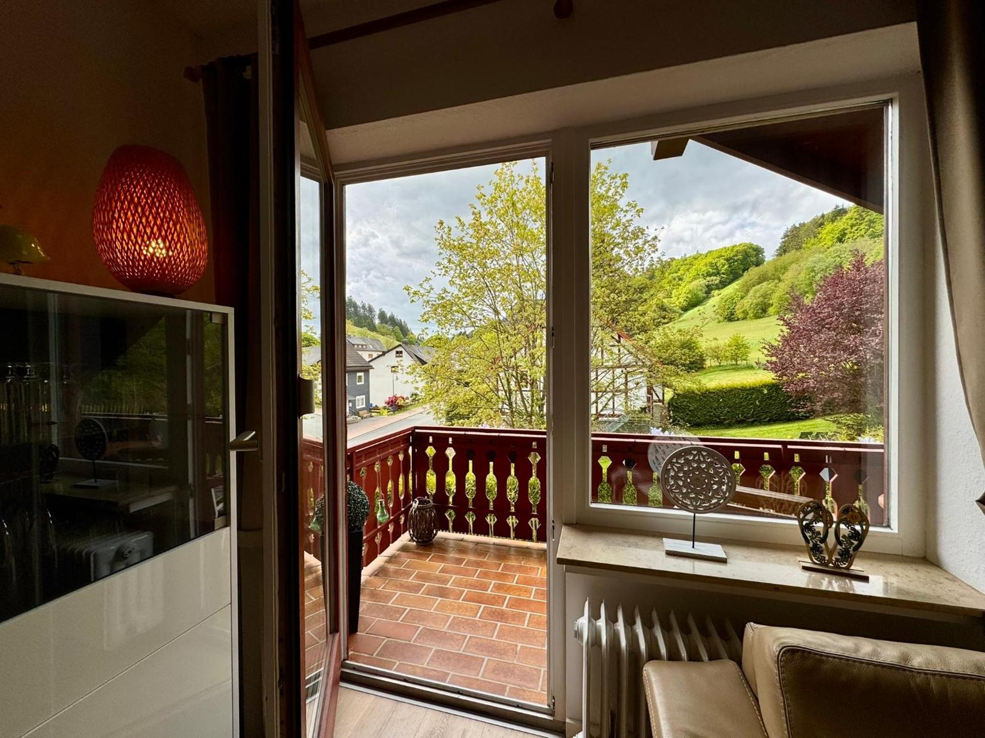 Ferienwohnung Sonnentraum - Appartement 5 Willingen Willingen (Upland) Exterior foto